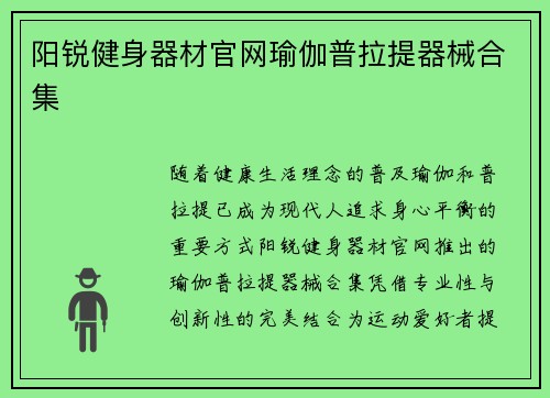 阳锐健身器材官网瑜伽普拉提器械合集